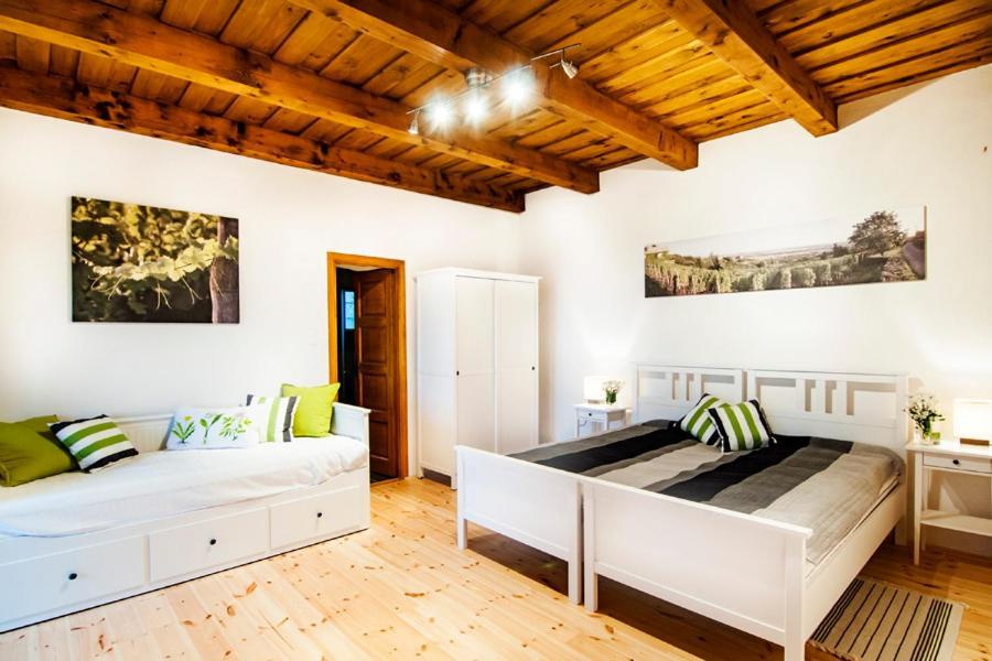 Sed Pince Vendeghaz Aparthotel Somlojeno Exterior foto